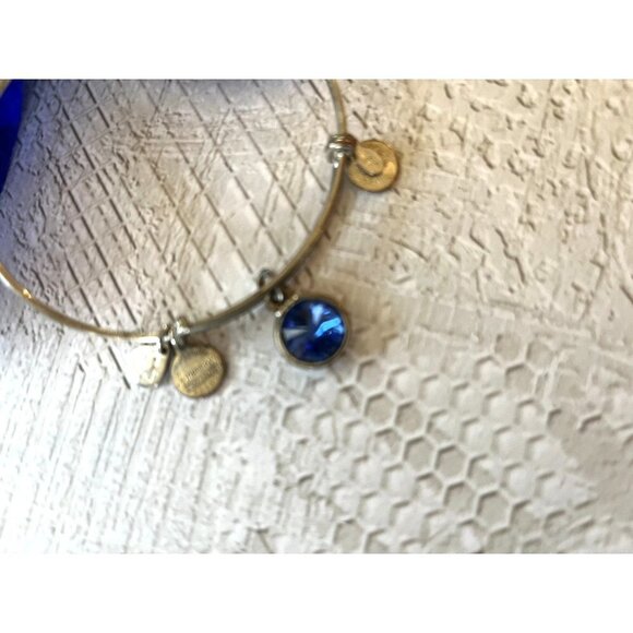 Alex and Ani Saphire Birthstone Bracelet Silver Tone - Picture 5 of 9